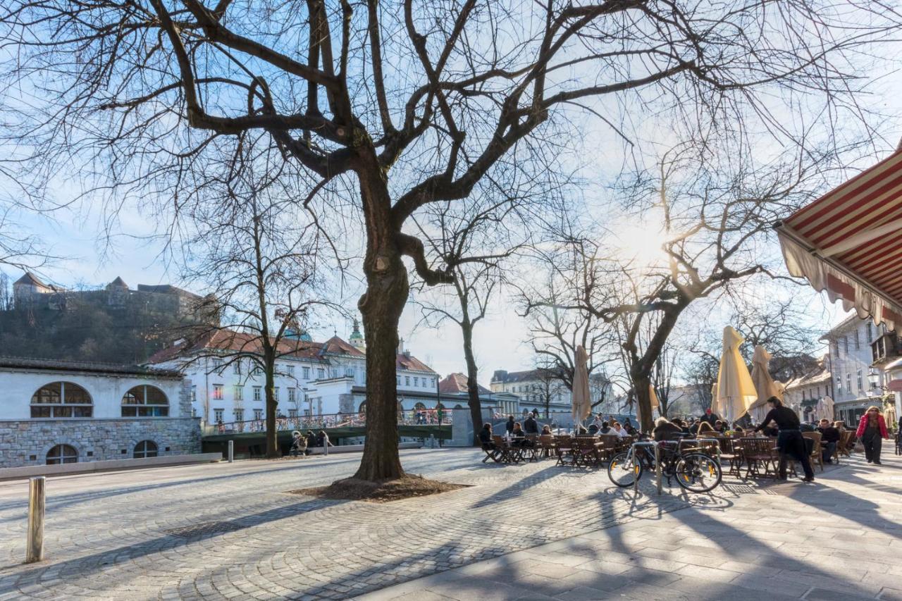 Old Town Apartments Λιουμπλιάνα Εξωτερικό φωτογραφία